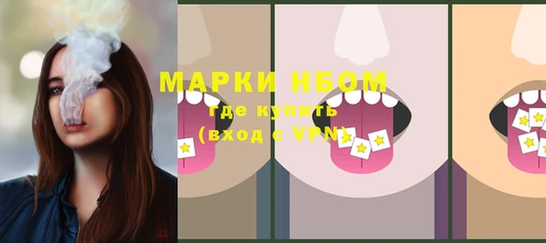ешки Алексин