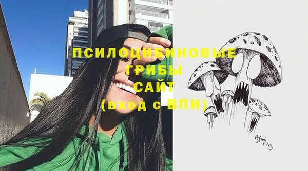 ешки Алексин