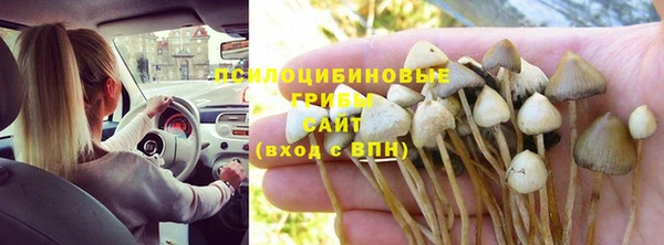 ешки Алексин