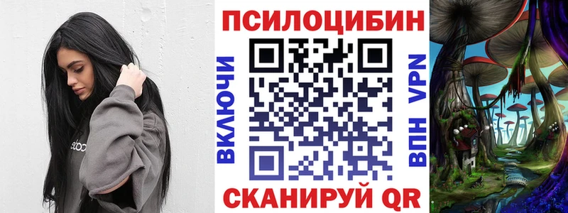 blacksprut ссылки Боровичи Галлюциногенные грибы прущие грибы