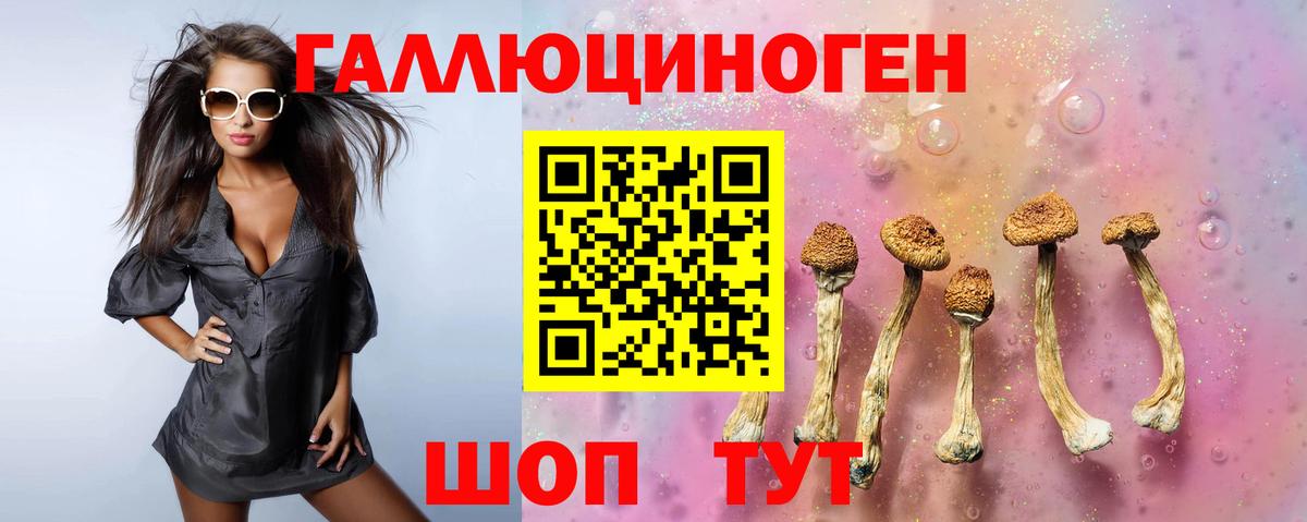 Псилоцибиновые грибы прущие грибы Боровичи