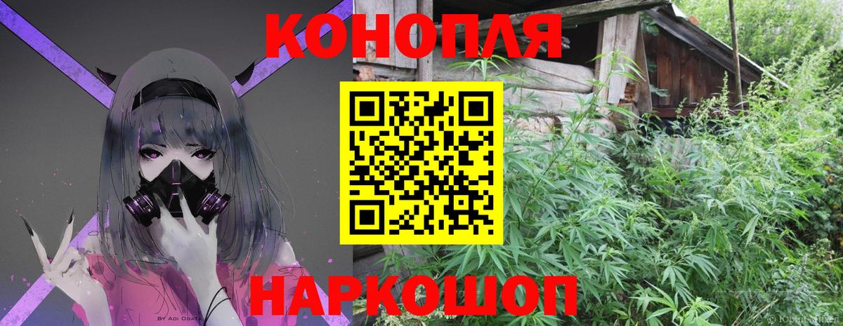 Канабис OG Kush Боровичи